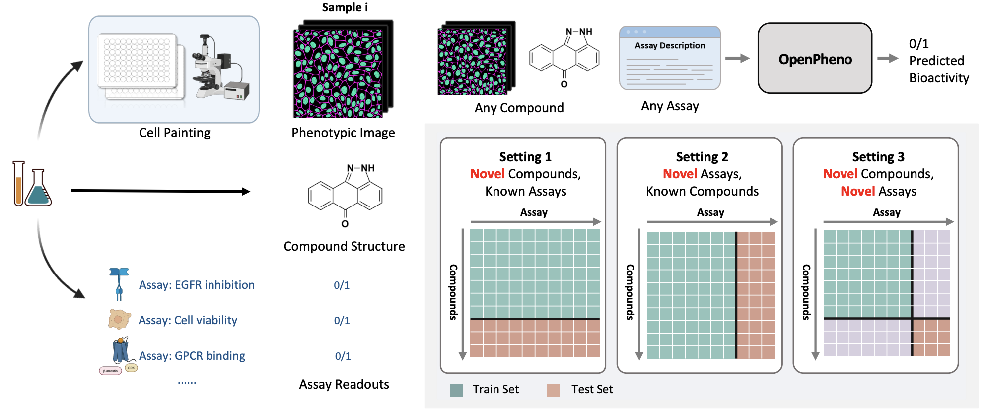 Phenotypic Bioactivity Prediction